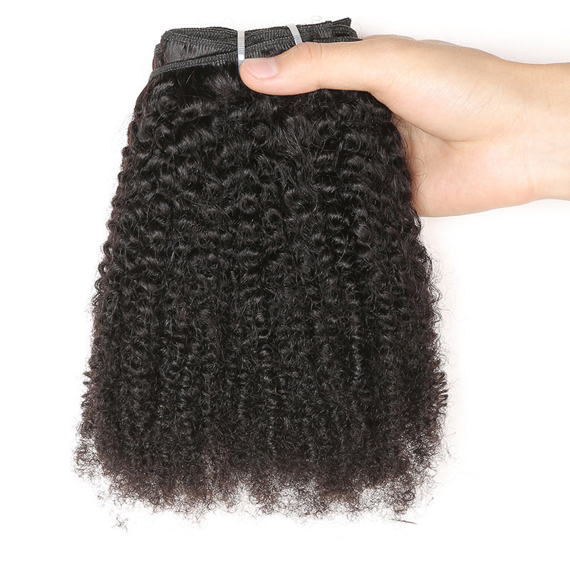 Kinky Curly Clip-In Extensions 4A - 4B